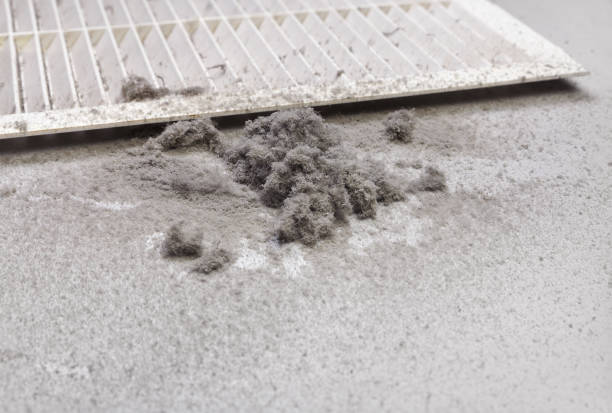 Best Air Vent Cleaning Services  in Bromley, KY